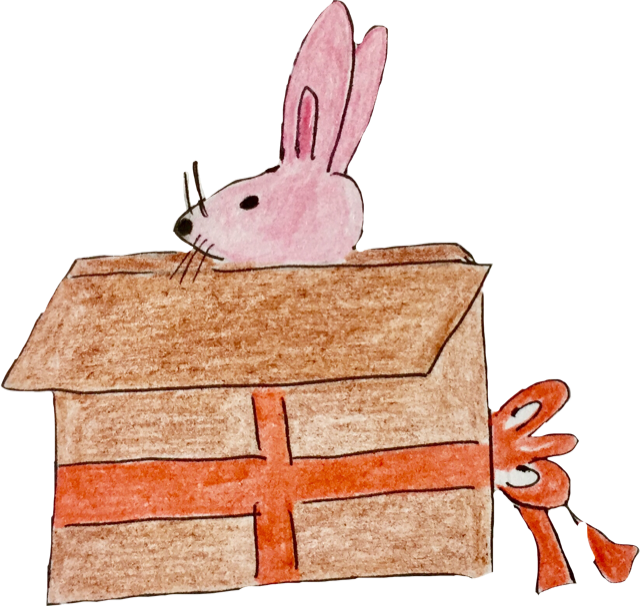 conejo en caja